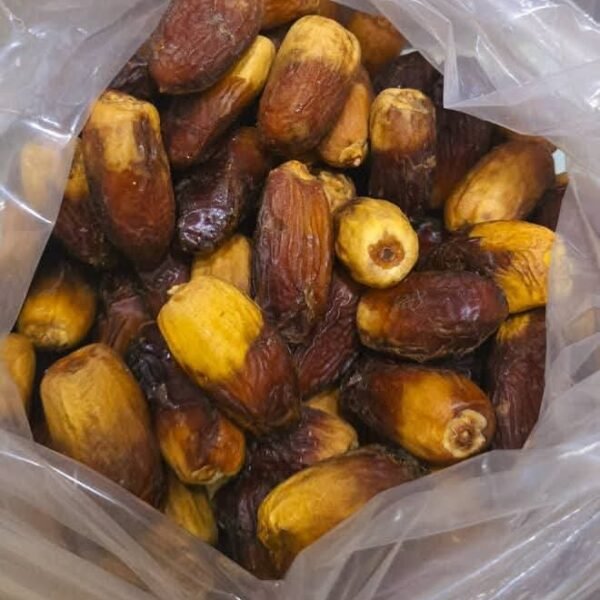 بلح قونديلا