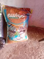 ⁦فول مصري⁩ - الصورة ⁦2⁩